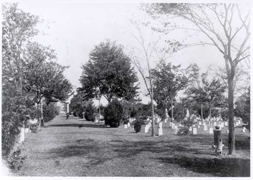Newberne National Cemetery, down the main avenue