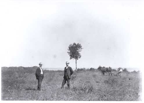 Newberne, near 44th Massachusetts Campground  