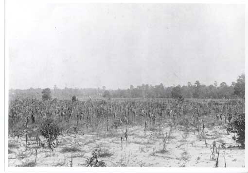Goldsboro Battlefield