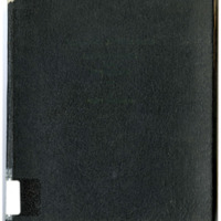 William J. Williams, Portrait Painter, and his Descendants