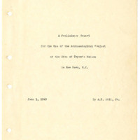 DillTryonPalaceReport-o.pdf