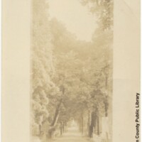 Cedar Grove Cemetery, New Bern, N.C.