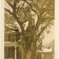 Palmer-Marsh House, Bath, N.C.